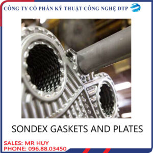 Sondex gasket and plates