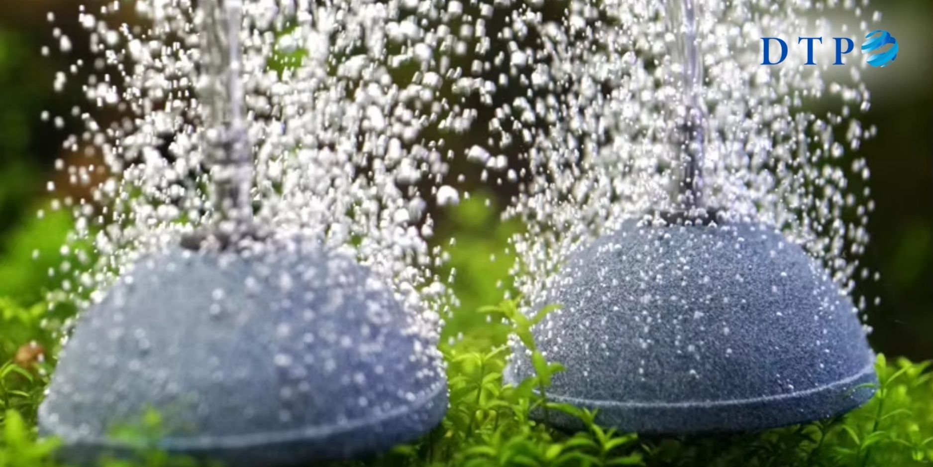 giới thiệu về đĩa sục khí titan